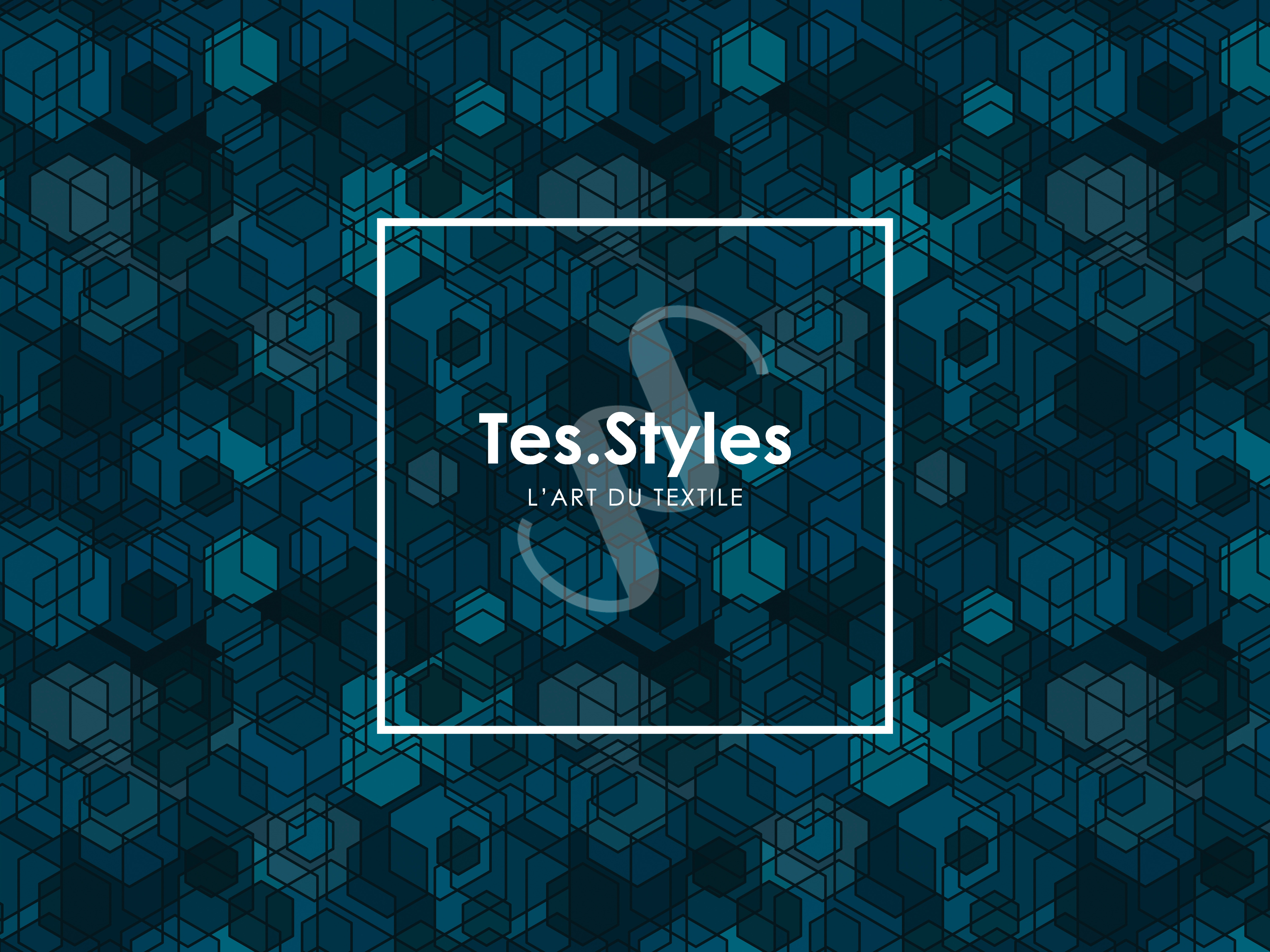 TS-421