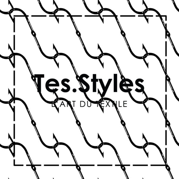 TS-1011